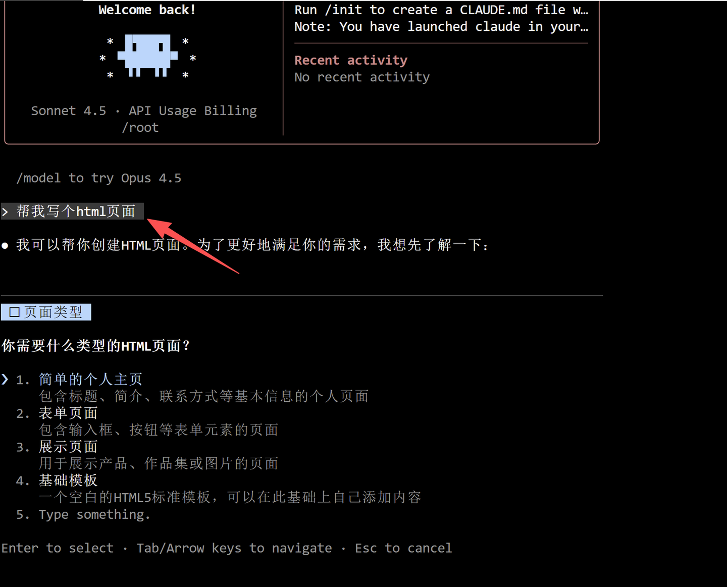 DKAPI国内版 Claude Code / Codex CLI 中转 API 平台使用教程（新手也能 5 分钟上手）插图5